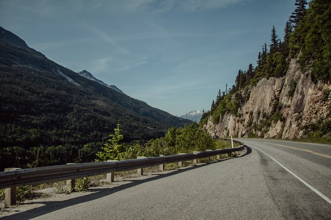 Anchorage to Seward- Pre-Cruise Curated Wildlife Tour +Transfer - Questions About Your Stay