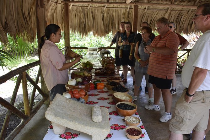 Ancient Chacchoben Mayan Ruins & Mayan Experience From Costa Maya - Dining Experience