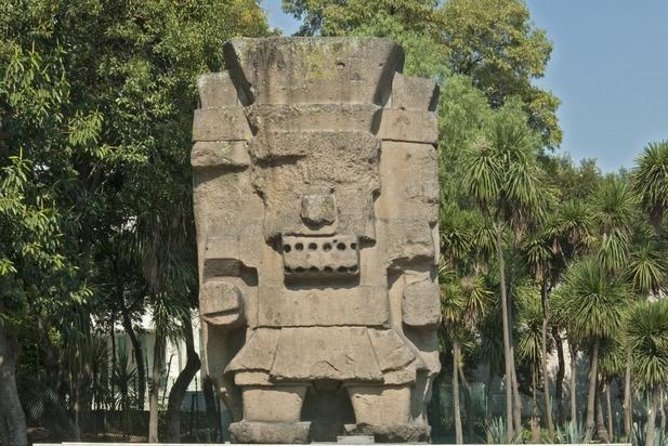 Anthropology Museum Guided Tour - Suitability and Opportunities