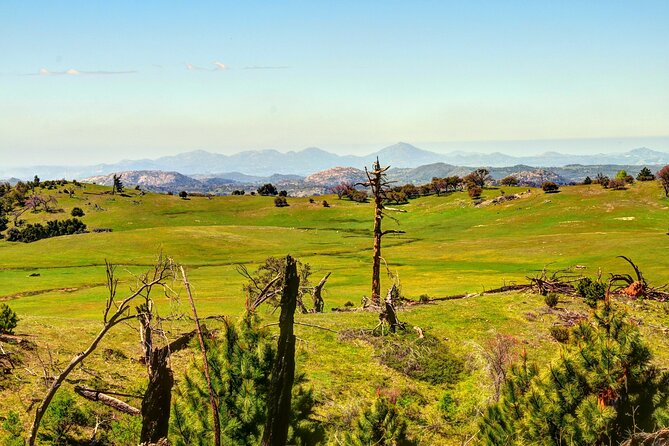 Apple Pies & Desert Skies: A Self-Guided Driving Tour - Sum Up