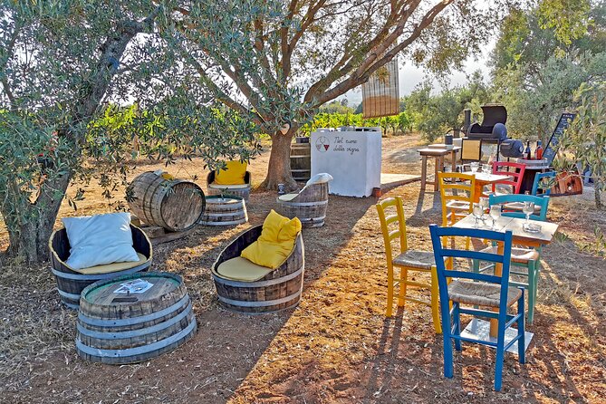 Archeology, Visit to a Vineyard and Wine and Pecorino Cheese Tasting - Cancellation and Accessibility