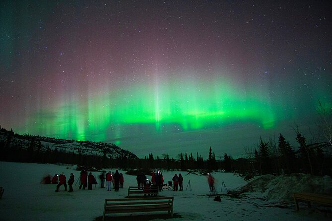 Arctic Day: Aurora Viewing Tour | Late Night - Tour Rating and Pricing