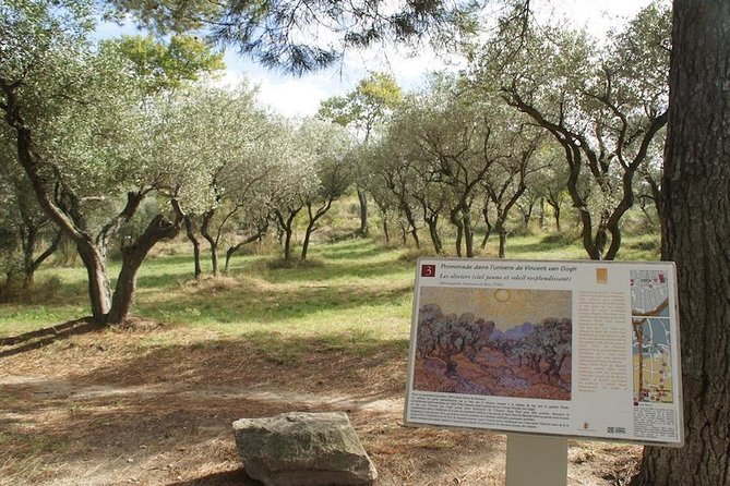 Arles and Saint-Rémy-de-Provence Private Tour - Customer Reviews