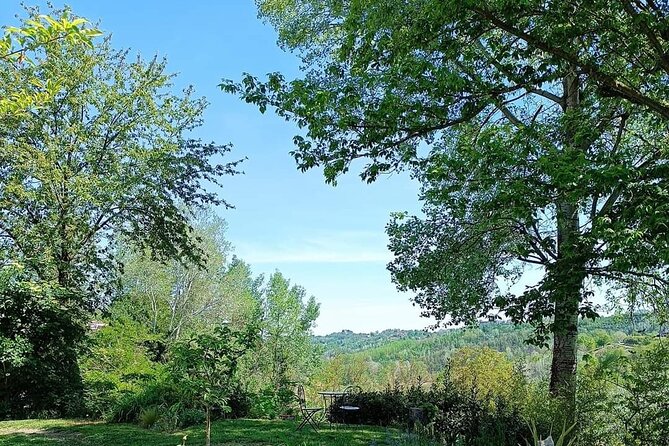Art Classes in Monferrato Hills - Customer Reviews