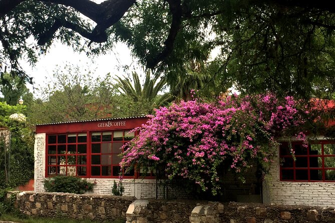 Arts and Snacks Walking Tour With Taste of San Miguel - Frequently Asked Questions