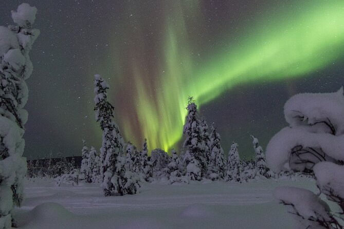 Aurora Sleighers Snowmobile Tour in Fairbanks - Tips for an Unforgettable Adventure