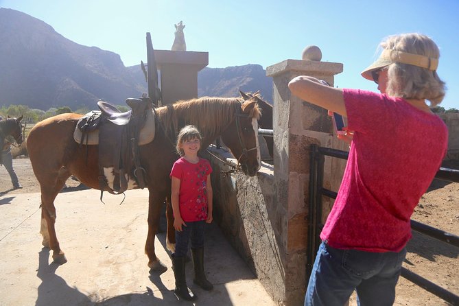 Authentic Horseback Riding in Beautiful La Mision - What to Bring