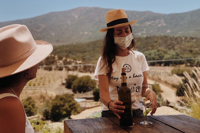 Baja Tour Guide Wine Tour - About Baja Tour Guide