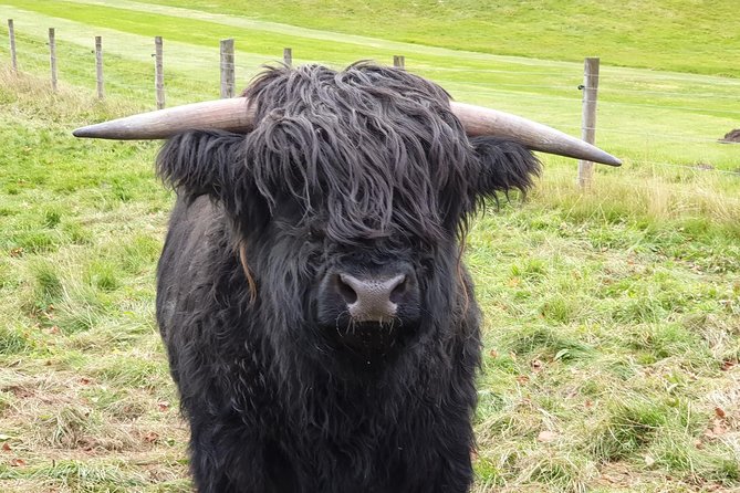 Balmoral Castle Tour From Inverness - Getting There and Booking Details