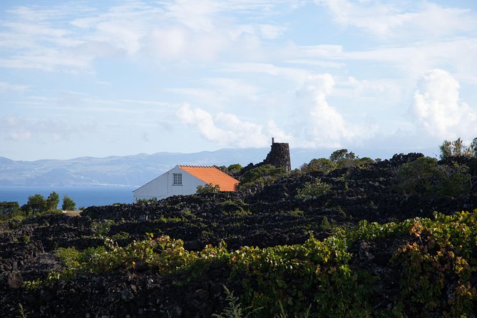 Banana Trip - Full Day Private Tour to Pico With Round Trip From Faial - Preparing for the Adventure