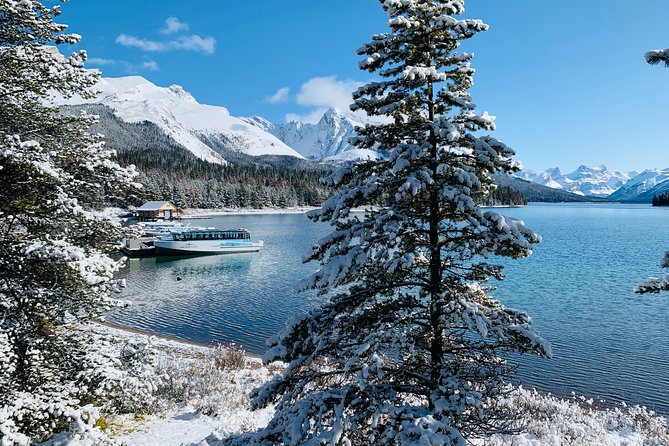 Banff (Canmore) to Calgary Public Shuttle - Travel Considerations