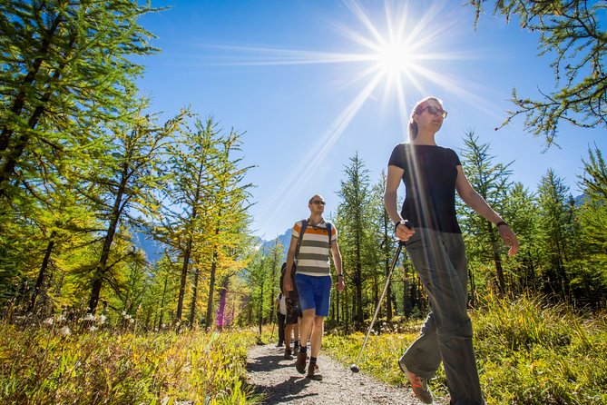 Banff National Park Guided Hike With Lunch - Tips for a Great Hike