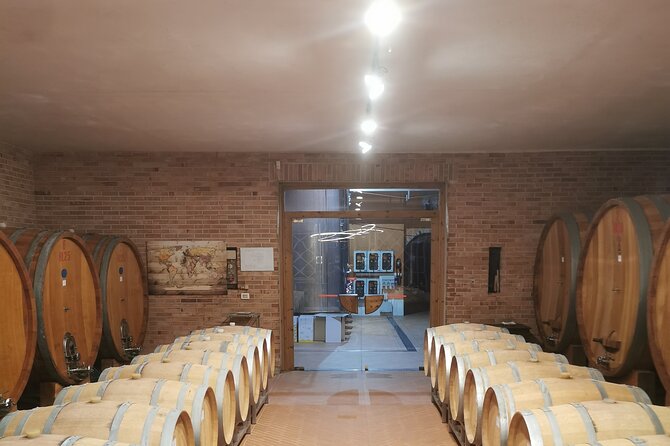 Barolo&Barbaresco Wine Tour With a Local Winemaker From Asti - Accessibility and Additional Information