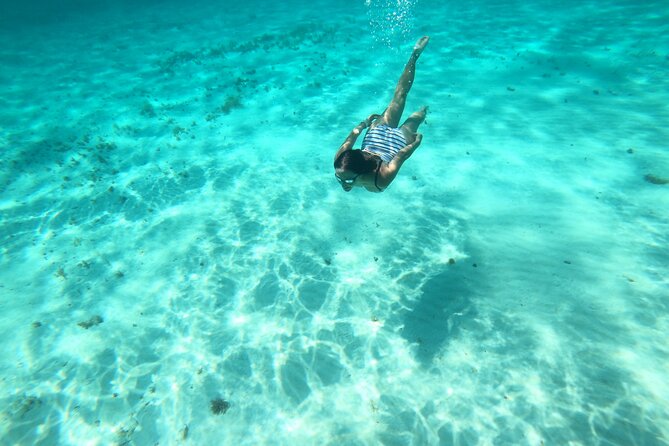 Bavarian Fiesta Snorkel Activity in Glass Bottom Boat at San Miguel De Cozumel - Crew Professionalism and Hospitality