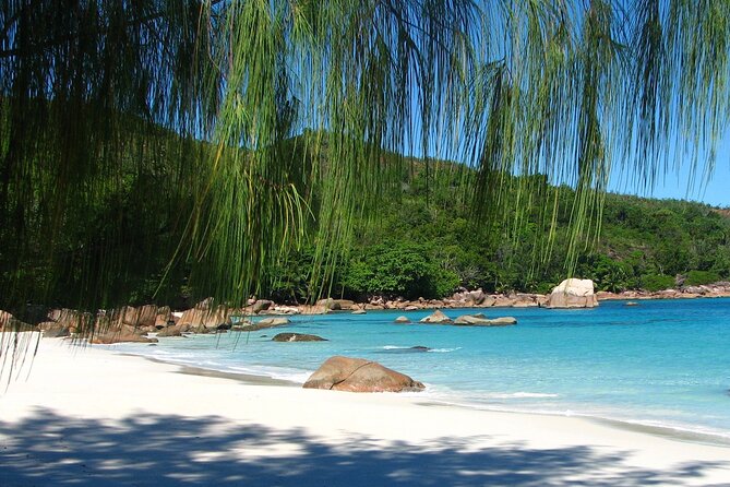 Beaches, Sand Castles, Swimming & Snorkeling | Mahé | Seychelles | Private Tour, NEW - Pricing, Booking, and Cancellation Policies