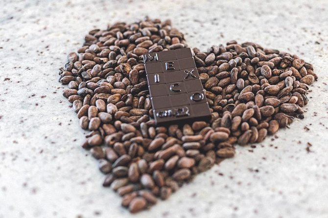 Bean to Bar Chocolate Workshop in Puerto Vallarta - Booking and Accessibility