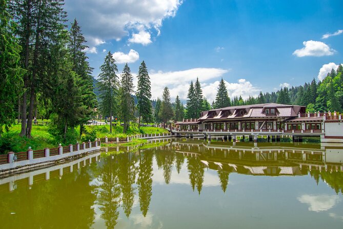 Bears Sanctuary, Dracula Castle and Poiana Brasov-Private Day Tour From Brasov - Flexible Cancellation Policy and Excellent Reviews