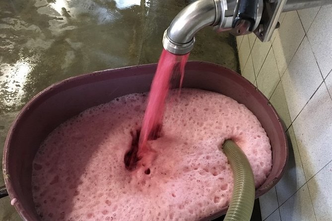 Beaujolais Wines & Castles - Private Tour - Half Day - Frequently Asked Questions