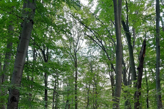 Belgrade Hiking Tour On Mountain Avala - Planning Your Visit