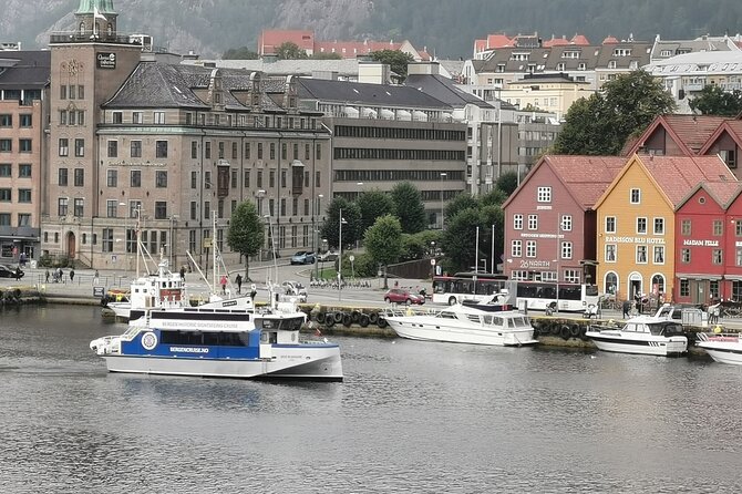 Bergen Fjord Cruise to Alversund Streams - All Year - Ask Away