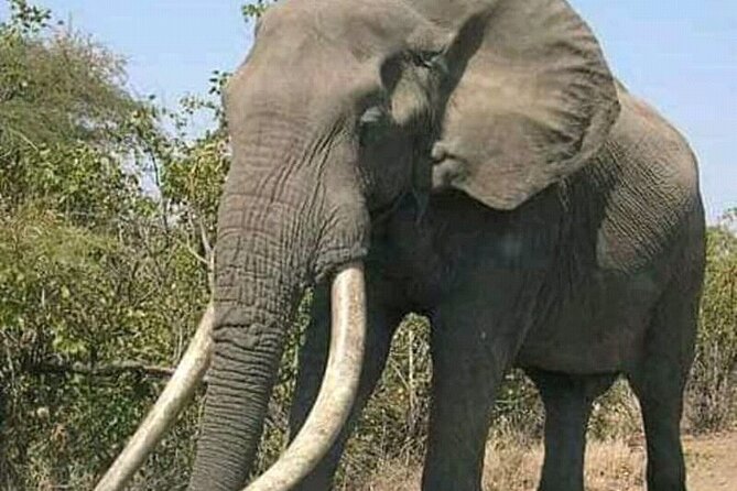 Best 3 Days Sharing Safari : Serengeti & Ngorongoro /2025 - Frequently Asked Questions