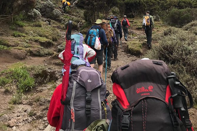 Best 7 Days Kilimanjaro Hiking Machame Route in , 2025, 2026 - Tips for a Successful Trek