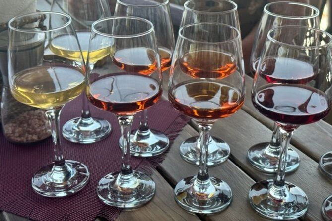 Best of Batumi | Private Walking Tour in the City + Wine Tasting - Customer Reviews and Testimonials