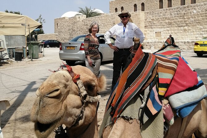 Bethlehem, Jericho, Hisham Palace and Qumran Full Day Private Tour - Private Transportation