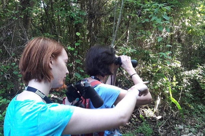 Bird Watching Ecofriendly Tour From Cancun & Riviera Maya - Frequently Asked Questions