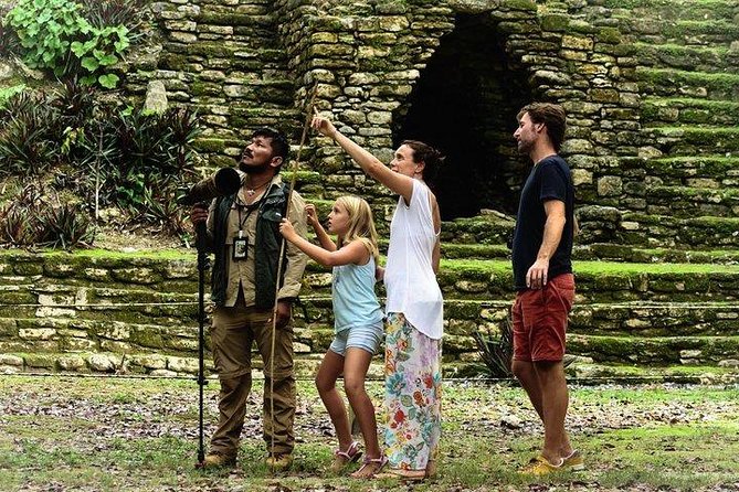 Birdwatching at the Mayan Cities With Certified Guide - Frequently Asked Questions