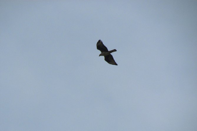 Birdwatching Day in the Monchique Hills - Additional Information