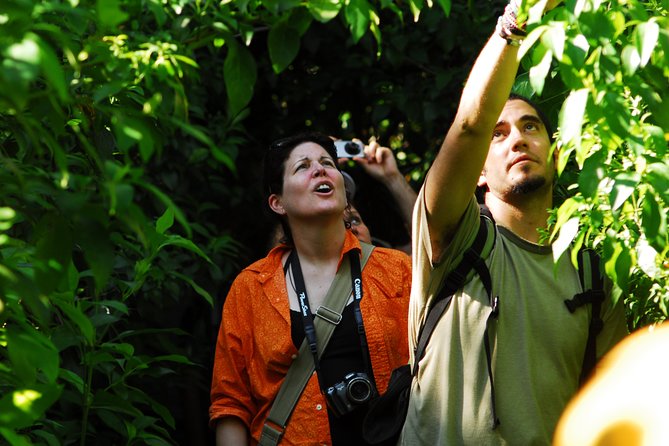 Birdwatching in Sian Ka'An and Muyil Archaeological Site From Tulum - Expertise and Thoroughness of Guides