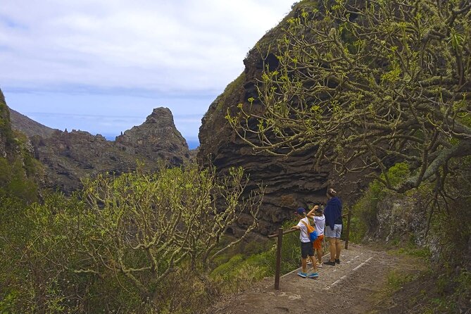 Black Caves, Jungles, Waterfalls - Visit the Secret Tenerife ! - Chasing the Waterfalls