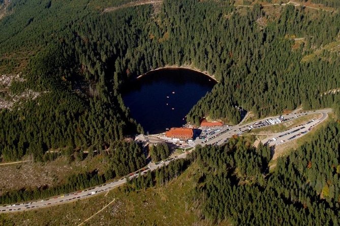Black Forest Day Tour - Experiencing Scenic Drives