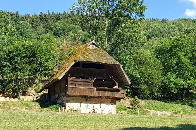 Black Forest Tour by Car: Baden-Baden to Freiburg or Vice Versa - Sum Up