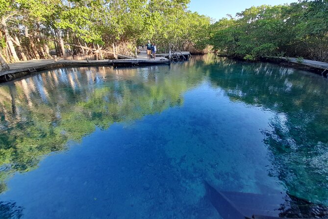 Boat Tour of Three Islands in Holbox With Transportation - Environmental Considerations