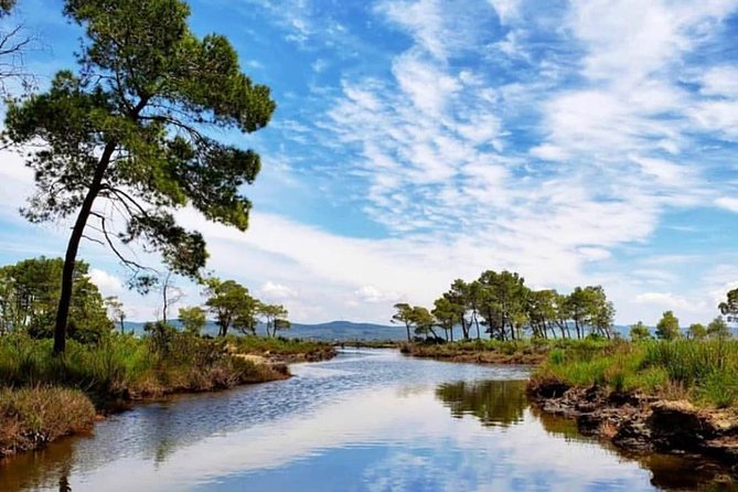 Boat Trip in Karavasta National Park and Apollonia Archaeological Park - Since You Asked