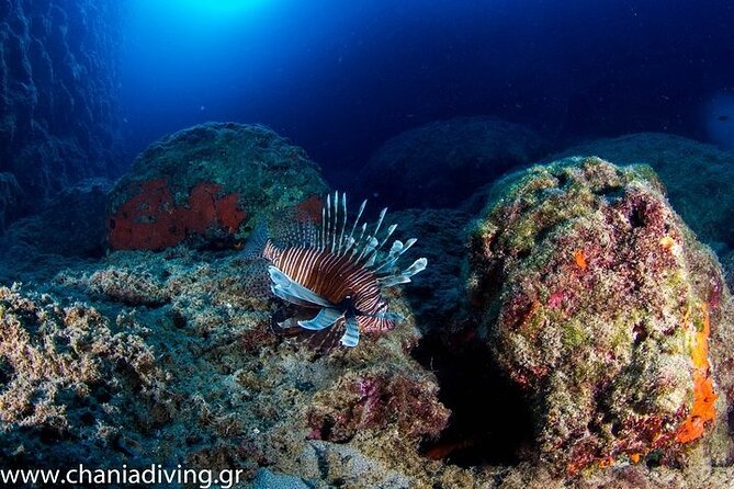 Boat Trip With Guided Snorkeling and Scuba Diving in Chania - Safety Precautions