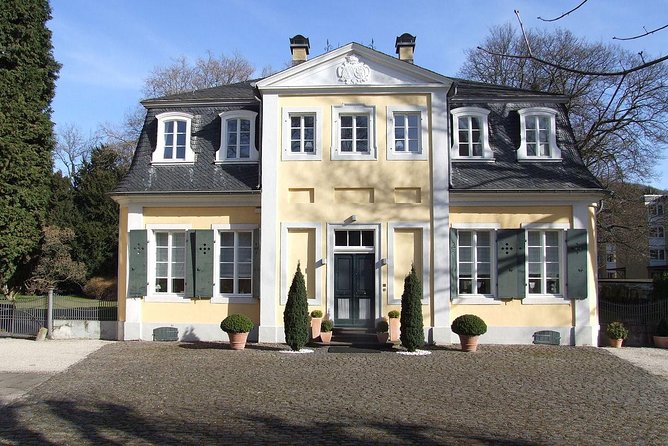 Bonn Walking Tour (In the Footsteps of Ludwig Van Beethoven) - Booking Your Experience