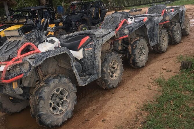 Boogies & Polaris Adventure In Buggy in Punta Cana - Coffee and Chocolate Tasting