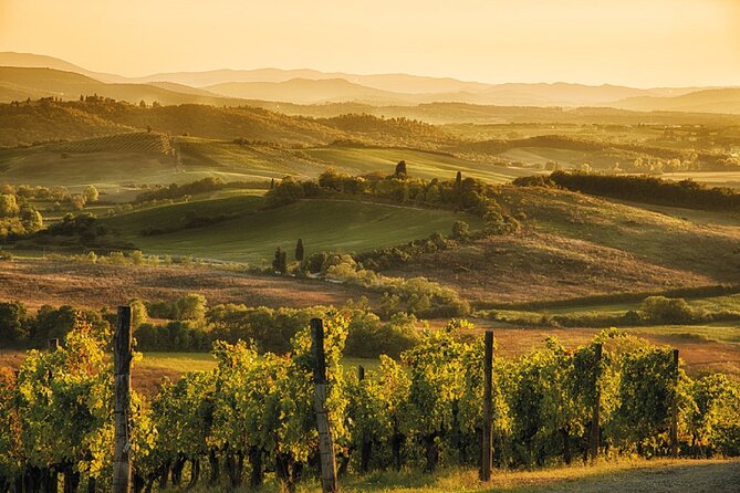 Brunello Wine Tasting From San Gimignano - Tips for a Great Experience