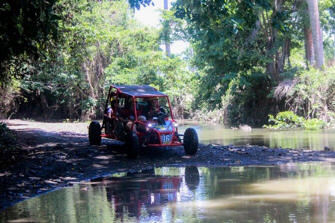 Buggy Tour Excursion in Taino Bay and Amber Cove Port - Buggy Adventure Highlights