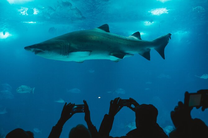 Burj Khalifa and Dubai Aquarium Combo Entrance Ticket - Customer Service Responsiveness