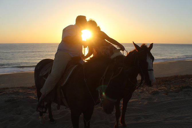 Cabo Desert Off-Road & Beach Horseback Combo and Tequila Tasting - Private Tour Experiences