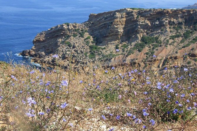 Cabo Espichel Jeep Tour With Visit to the Dinosaur Footprints - What to Expect on the Tour