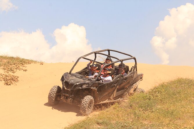 Cabo Migrino Beach & Desert Tour (Quad UTV) - Observing Local Fauna and Flora