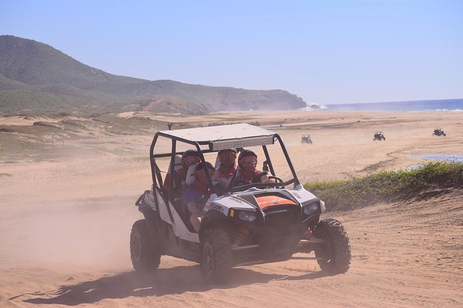 Cabo Migrino Beach & Desert Tour (Triple UTV) - Frequently Asked Questions