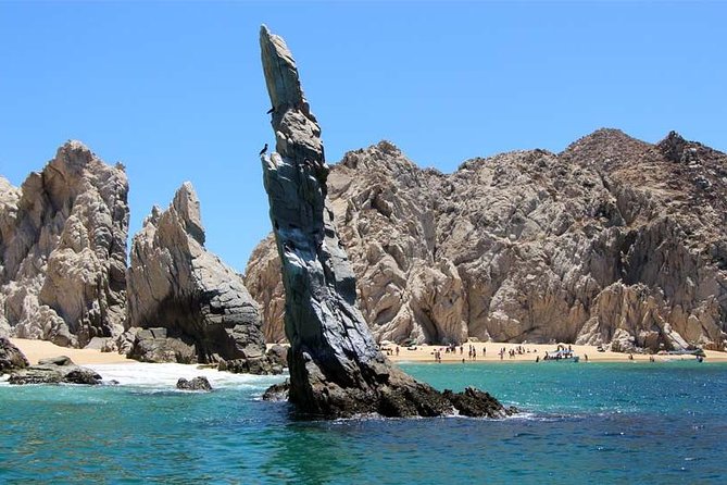 Cabo San Lucas Sightseeing and Famous Arch Tour - Tour Operator Engagement and Response