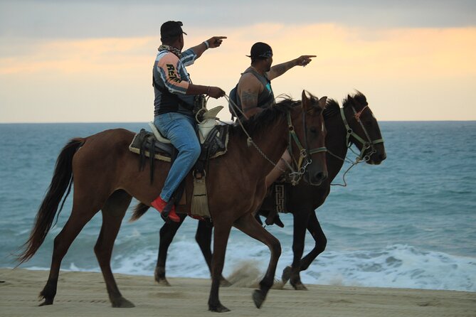 Cabo White Sand Horseback Riding Tour and Tequila Tasting - Private Tour Options