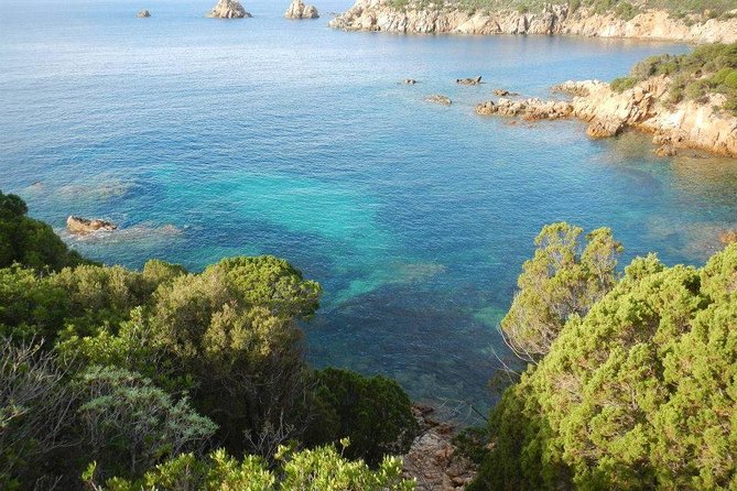 Cagliari: Full-Day Private Tour of Sardinias Hidden Beaches From Chia - Tour Ratings and Reviews